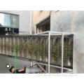 Wielkie rozmiarze orzechy makadamia w Shell Raw